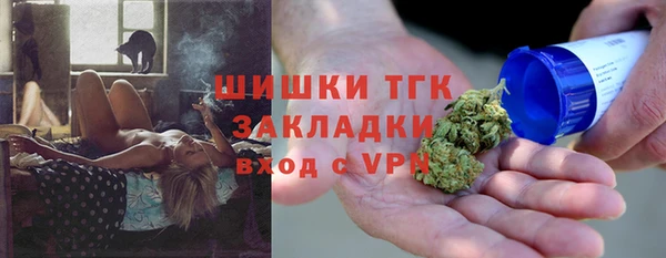 сатива Нефтекумск