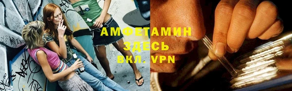 сатива Нефтекумск