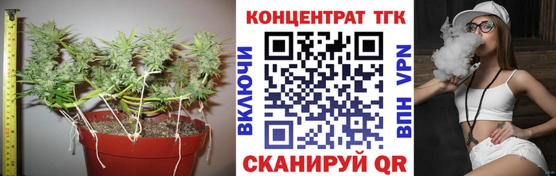 ТГК концентрат  магазин продажи   Каменка 