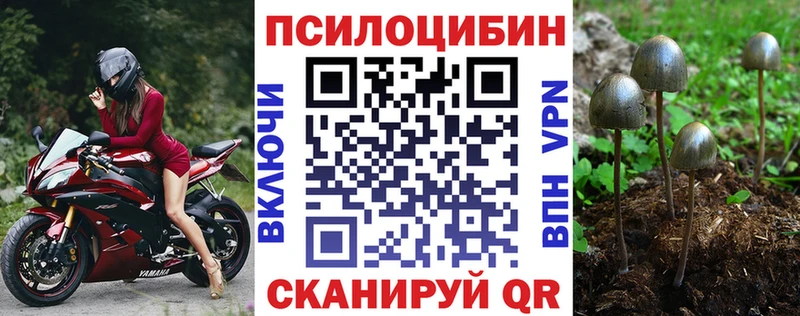 блэк спрут как зайти  Каменка  Галлюциногенные грибы ЛСД 