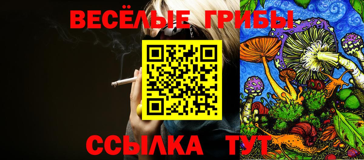 Каменка  Alpha-PVP  Конопля  Ешки  ГАШИШ  Мед  Hash Oil  Вход с VPN  MDMA  Мефедрон  ЛЁД  Кокаин  ГАШ 