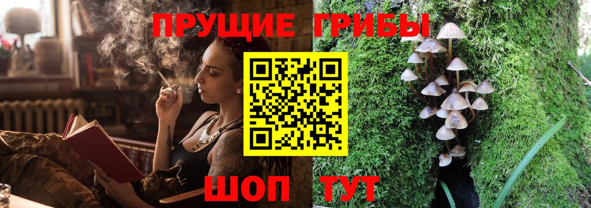 Галлюциногенные грибы ЛСД Каменка