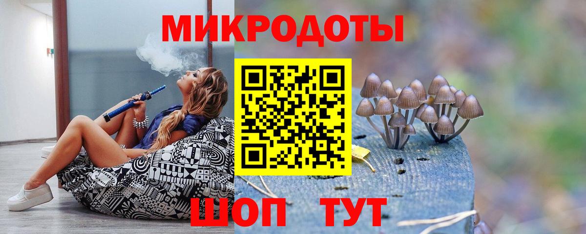 Псилоцибиновые грибы мухоморы  Вход с VPN  Каменка 