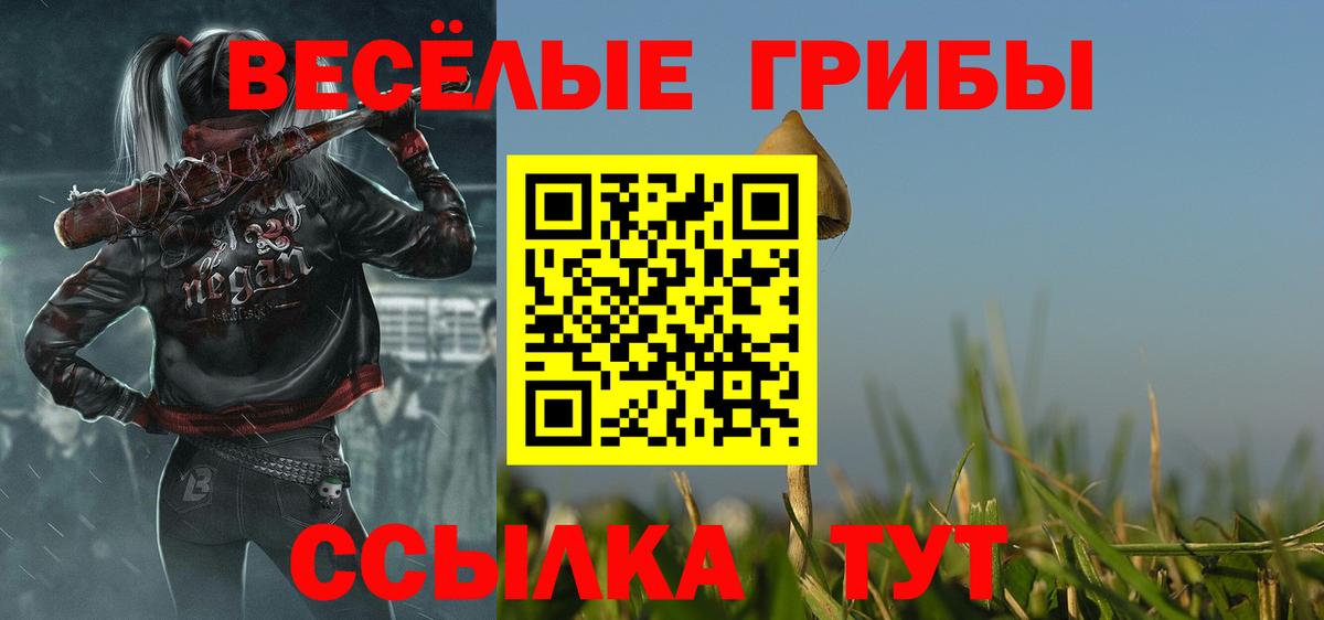 Галлюциногенные грибы ЛСД  Каменка 