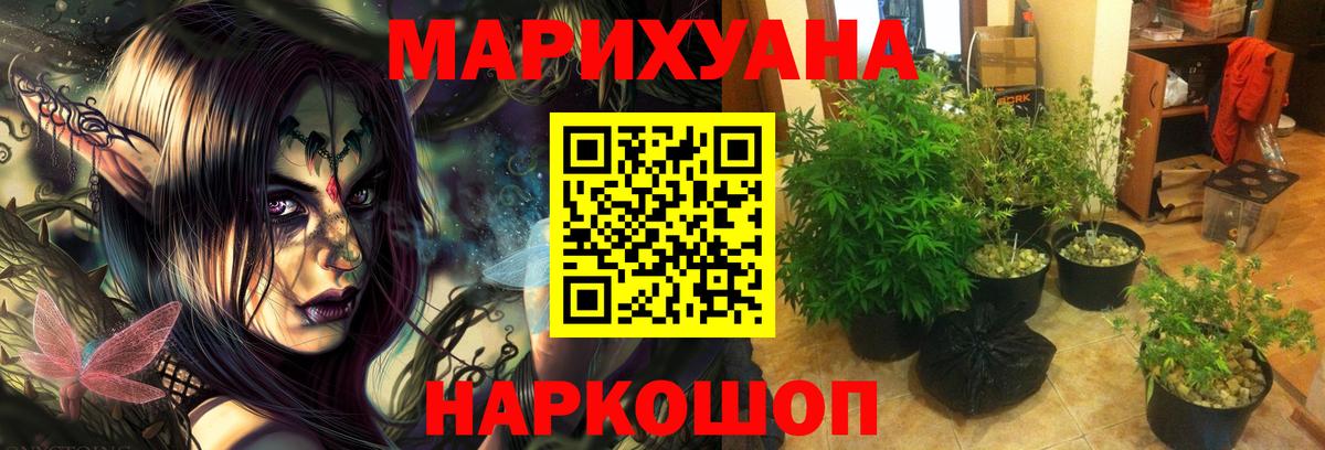 Марихуана ГИДРОПОН Каменка